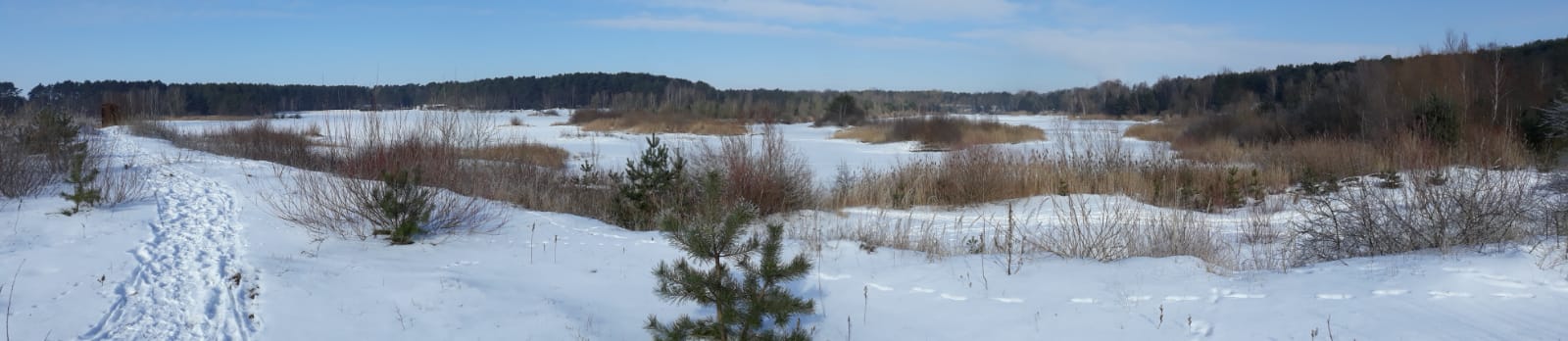 Winter in der Altmark