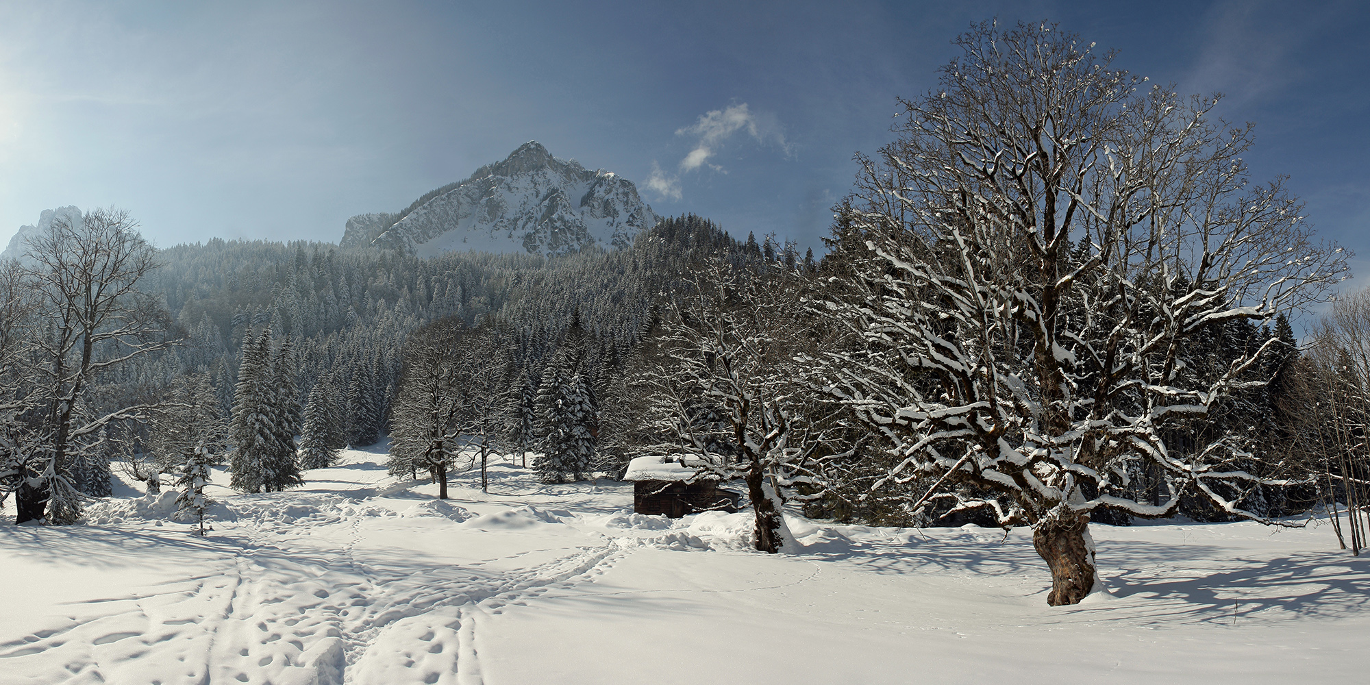 Winter in der Bleckenau!