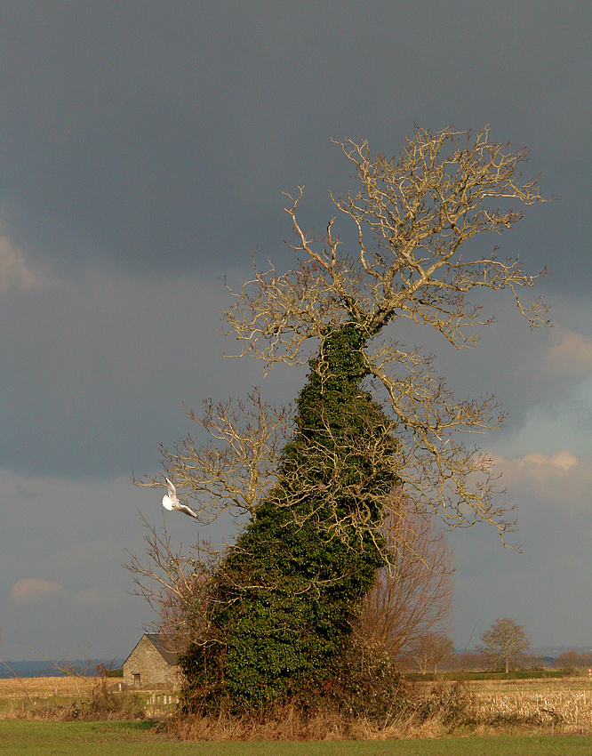 Winter in der Bretagne... Bretagne en hiver...