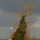 Winter in der Bretagne... Bretagne en hiver...