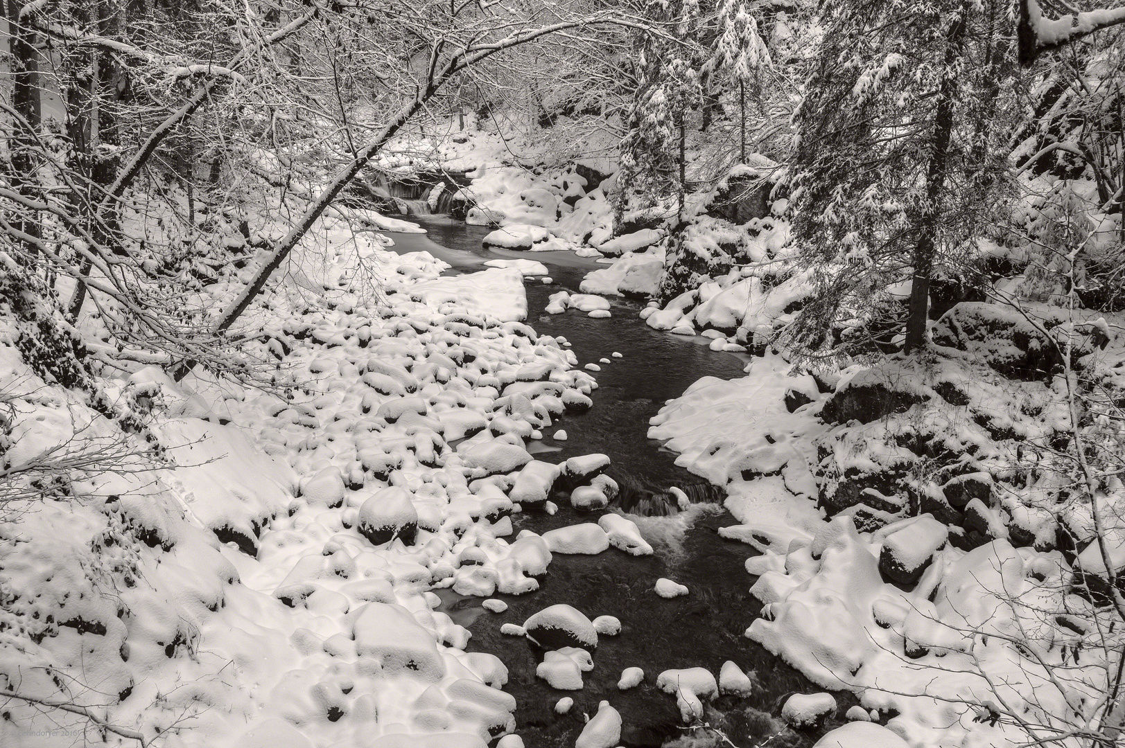 Winter in der Buchberger Leite