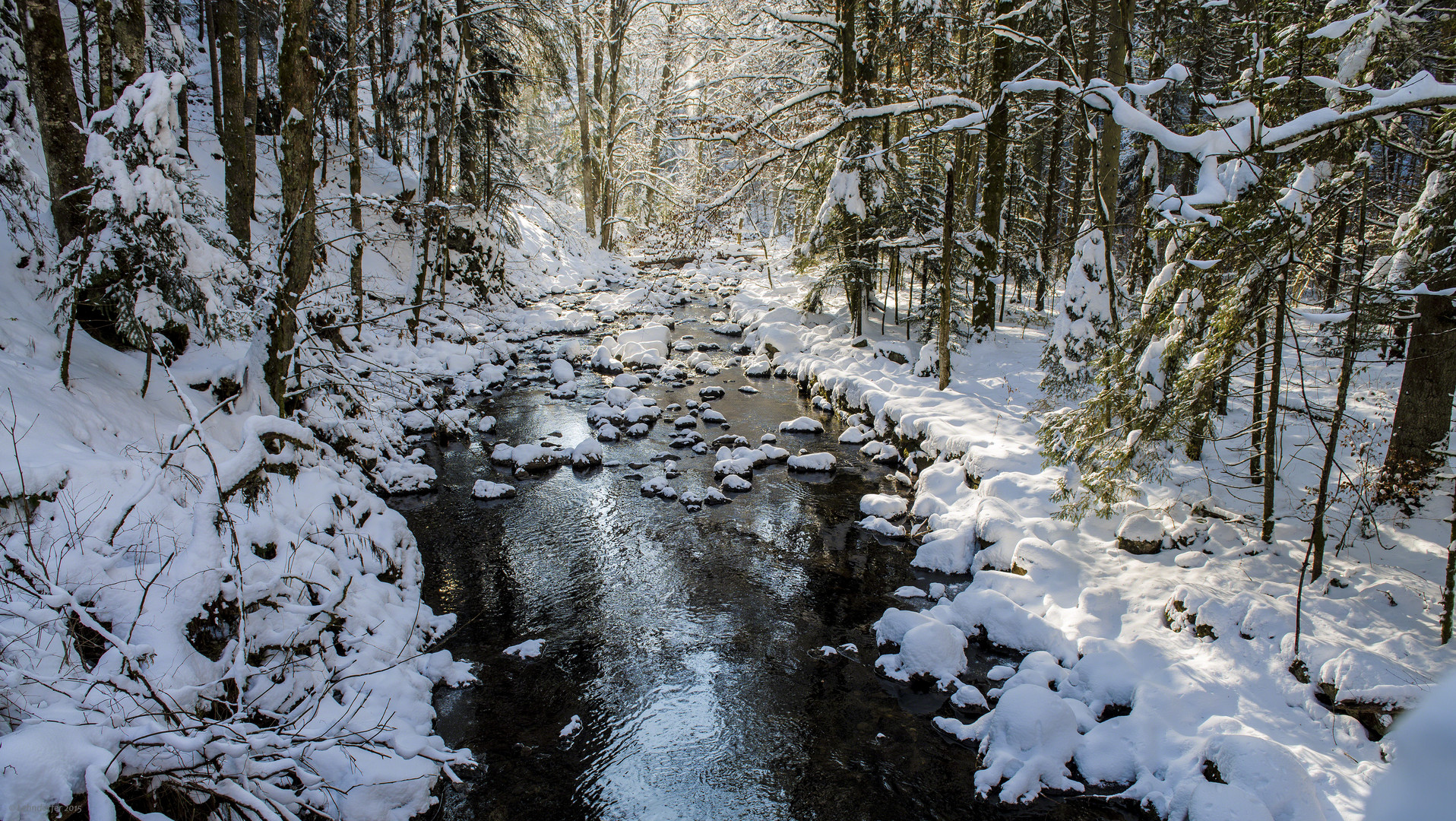 Winter in der Buchberger Leite