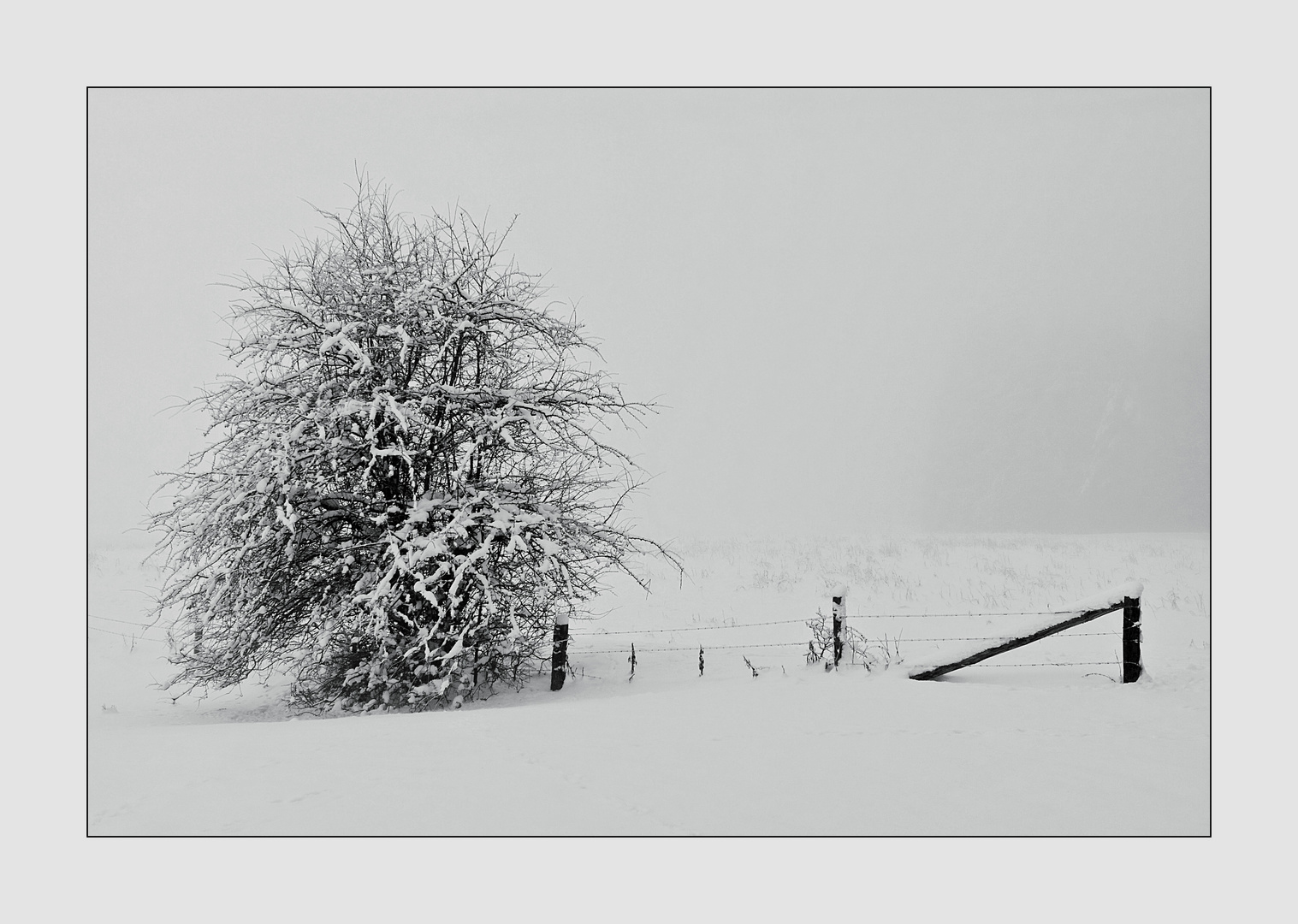 - Winter in der Egge III -