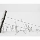 - Winter in der Egge IV -