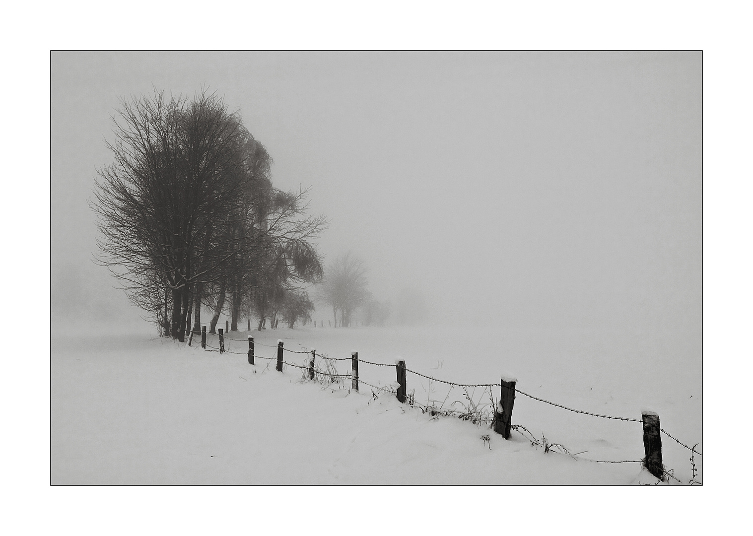 - Winter in der Egge VI -