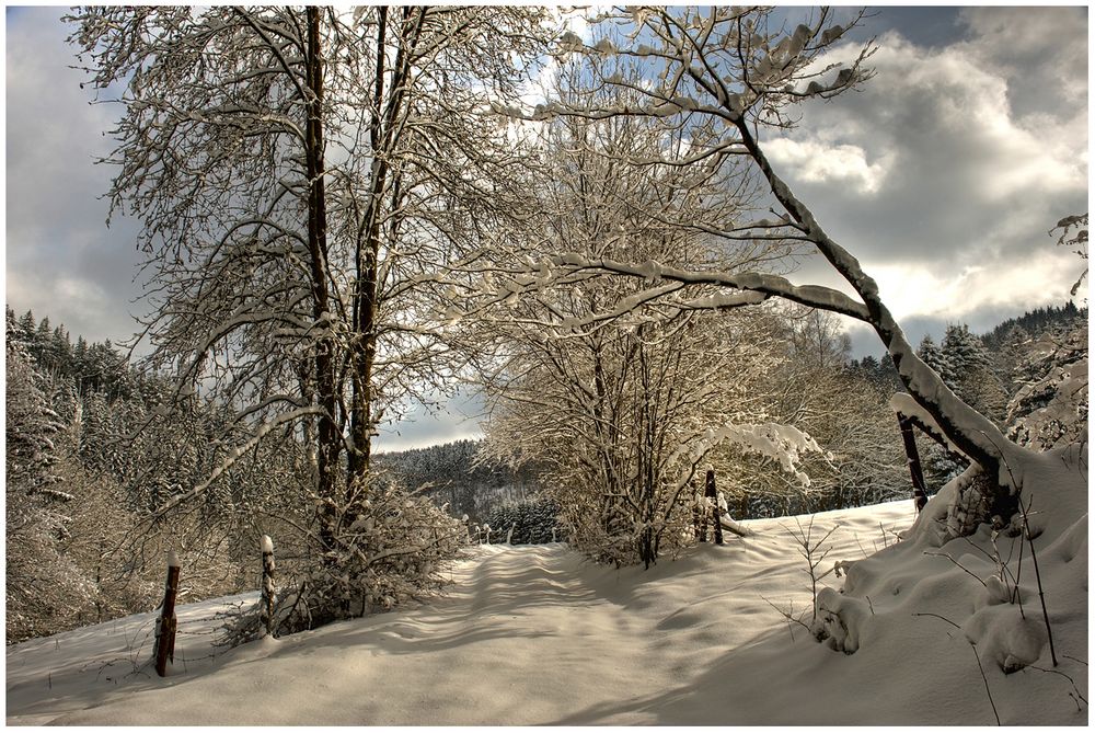 Winter in der Eifel