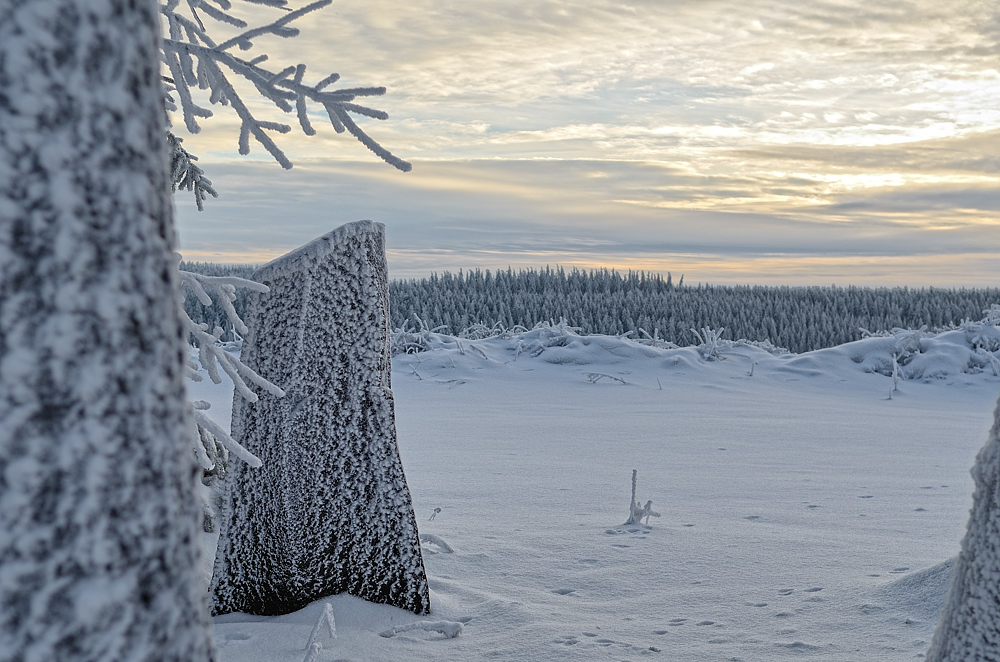 Winter in der Eifel