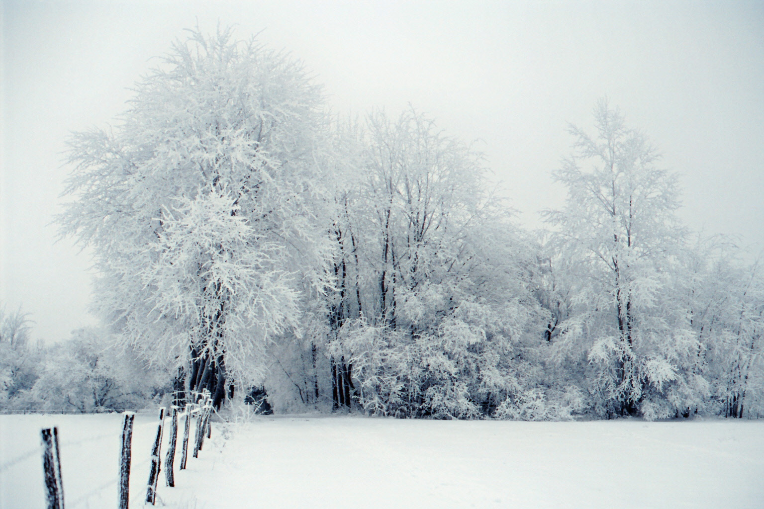 Winter in der Eifel