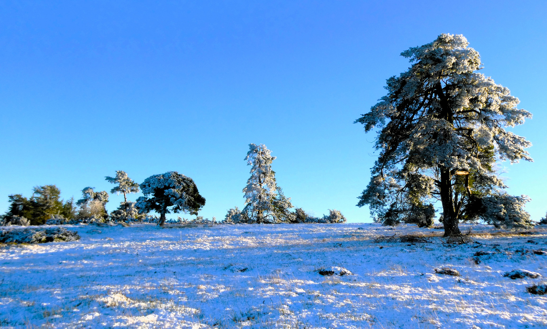 Winter in der Eifel