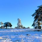 Winter in der Eifel