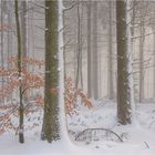 Winter in der Eifel