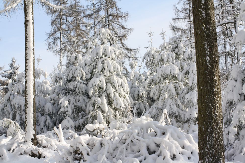 Winter in der Eifel von faider 