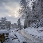 "Winter in der Eifel"