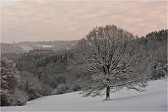 Winter in der Eifel