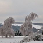 Winter in der Eifel