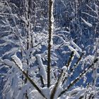 Winter in der "Eifel"