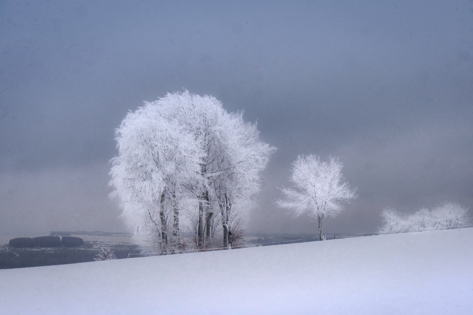 Winter in der Eifel