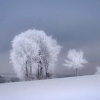 Winter in der Eifel