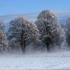 Winter in der Eifel