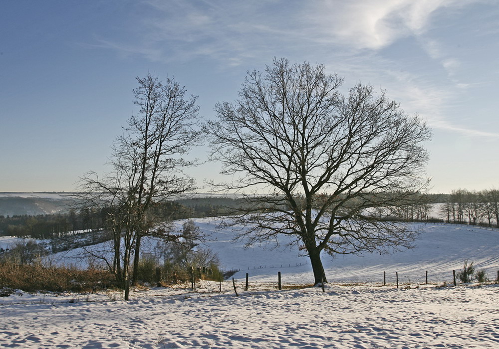 Winter in der Eifel