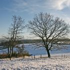 Winter in der Eifel