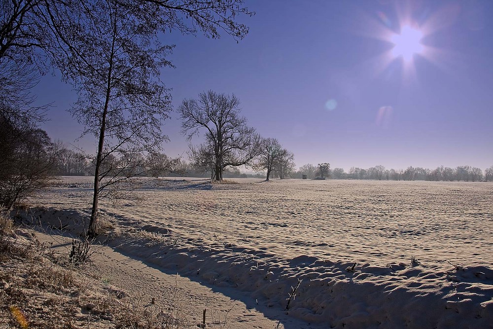 Winter in der Elbaue