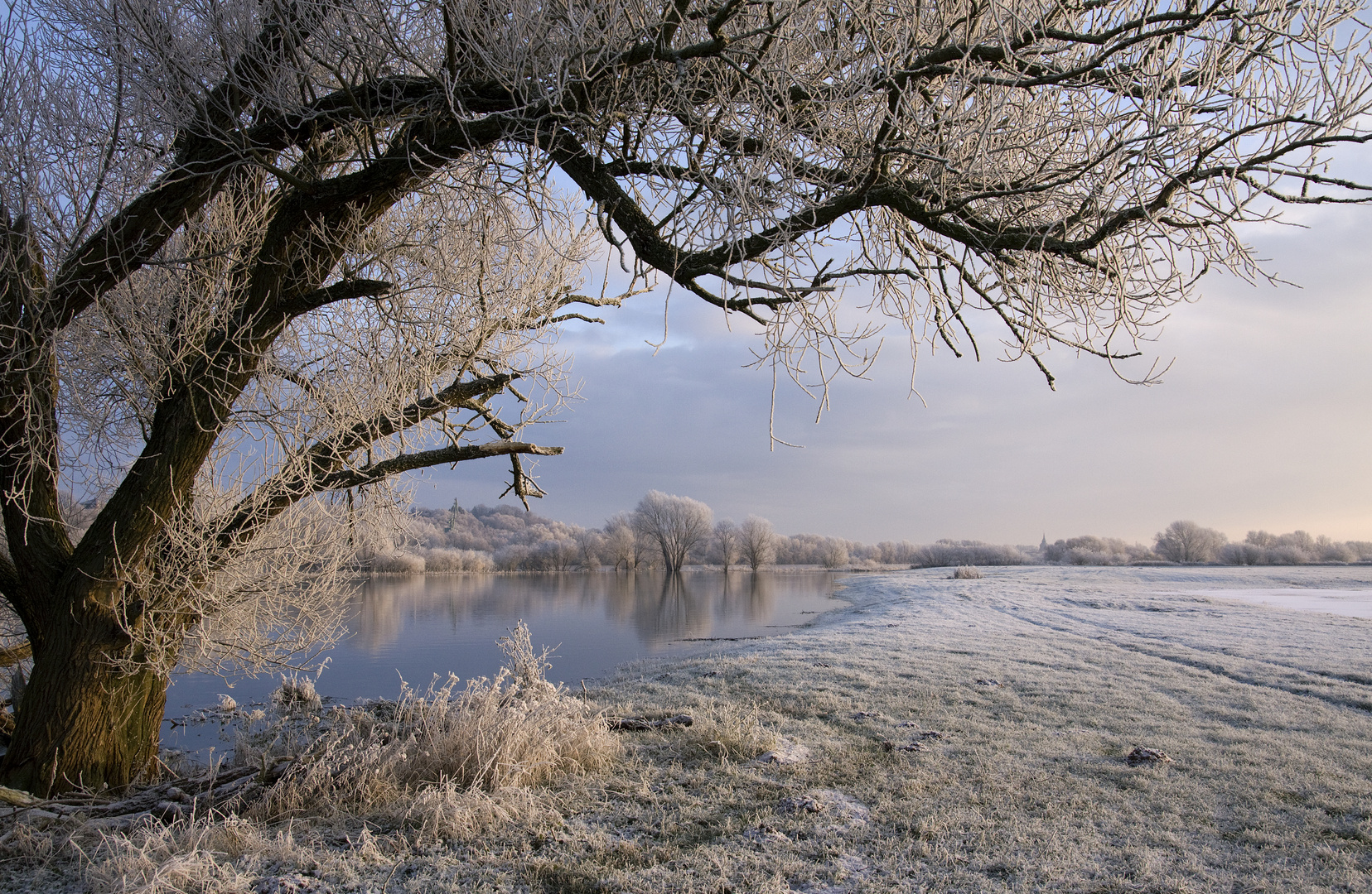 Winter in der Elbtalaue