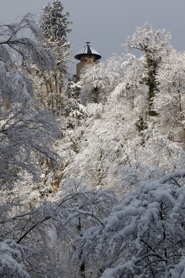 Winter in der Ermitage . . .