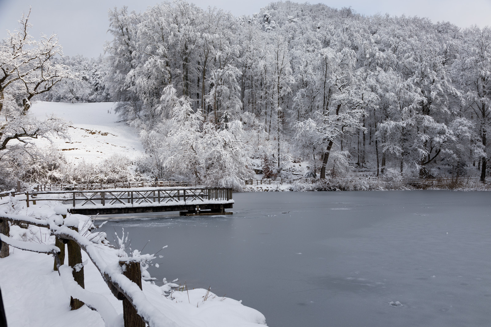 Winter in der Ermitage . . .