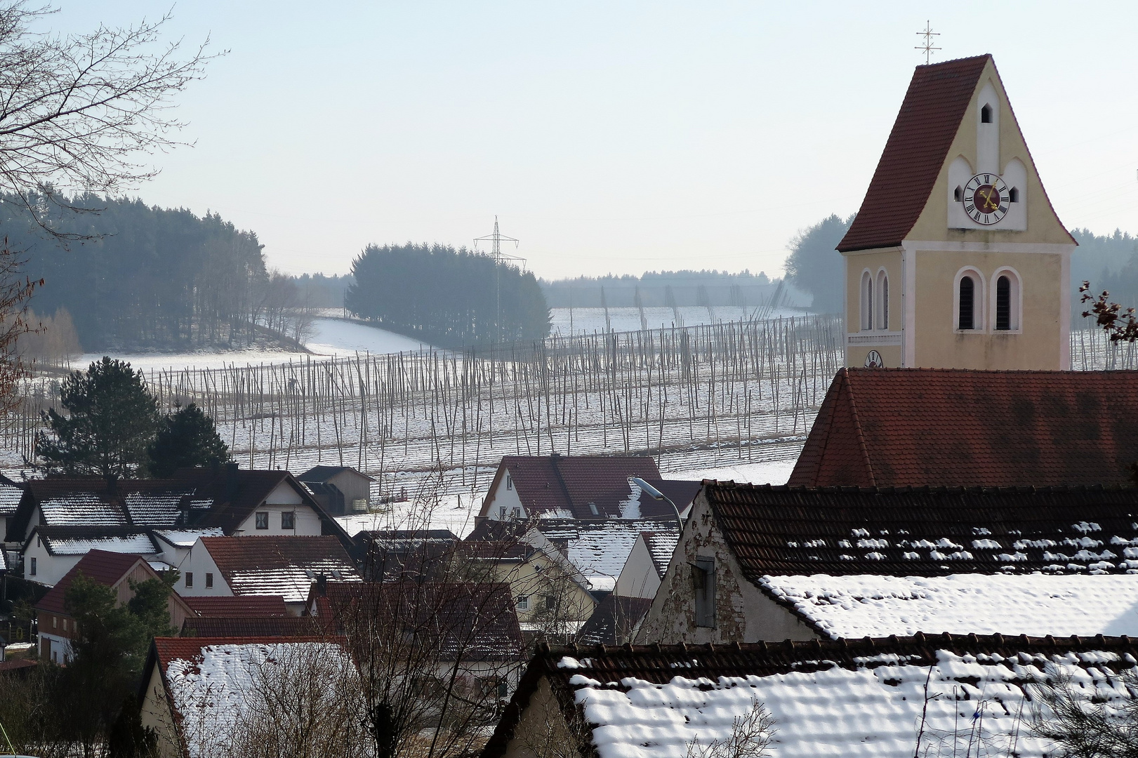 Winter in der Hallertau