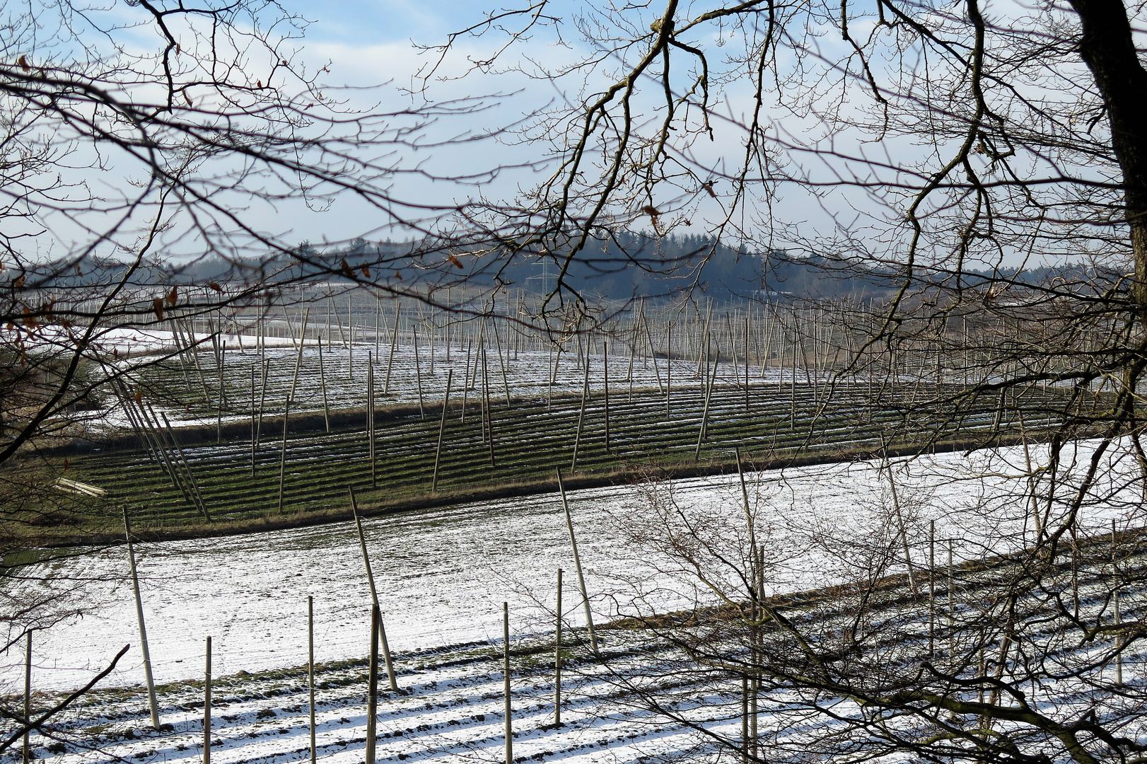 Winter in der Hallertau