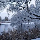 Winter in der Hansestadt am Strelasund... 