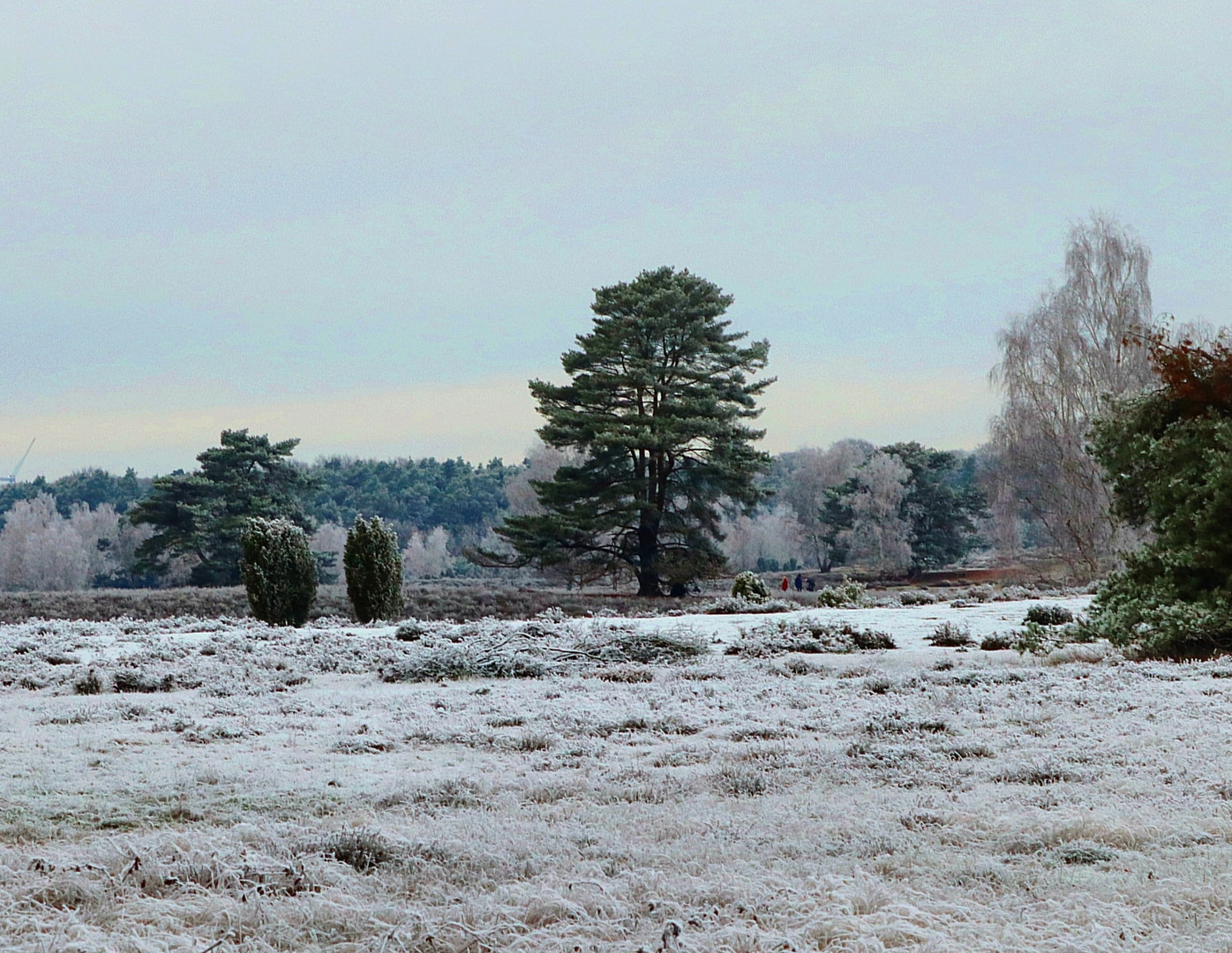 Winter in der Heide