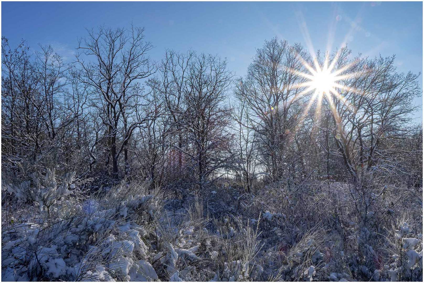 winter in der heide....