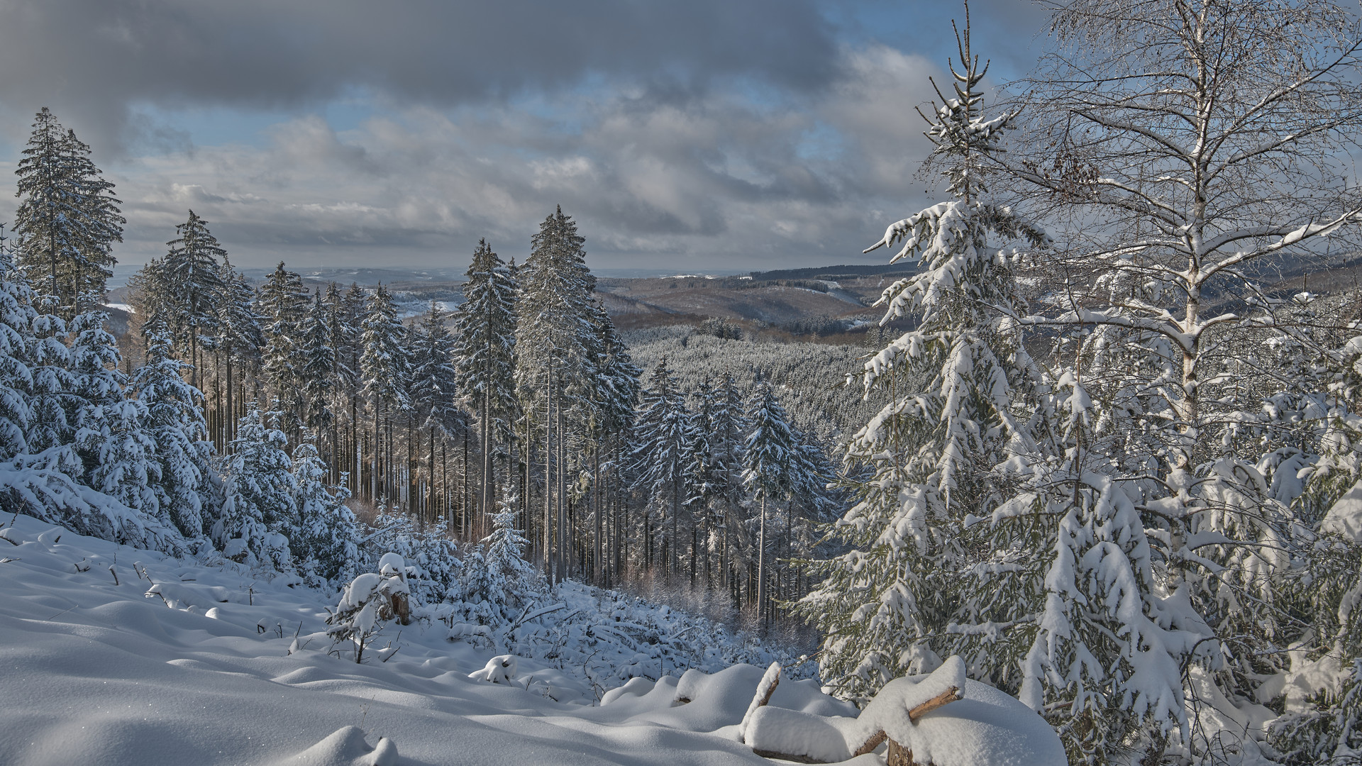 Winter in der Heimat