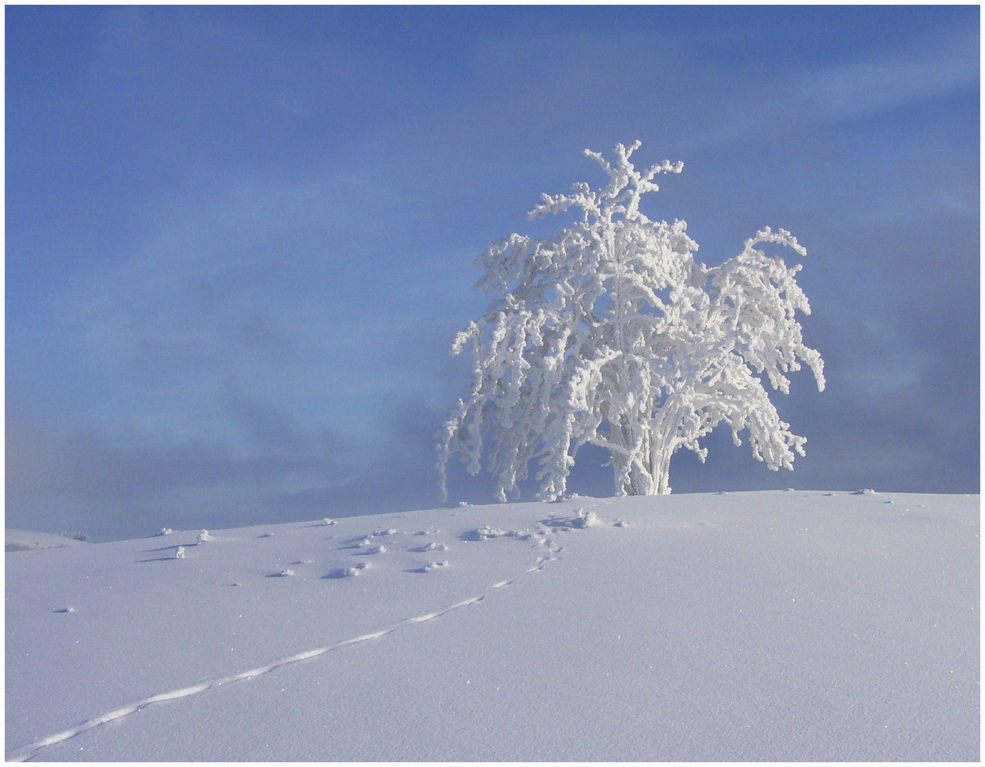 Winter in der hessischen Rhön