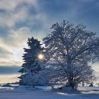 Winter in der Hochrhön