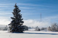 Winter in der Hochrhön