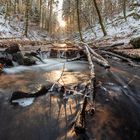 Winter in der Karlstalschlucht