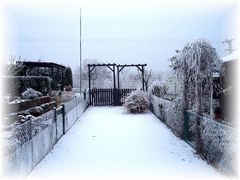 Winter in der Kleingartenanlage