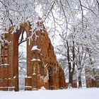 Winter in der Klosterruine 3