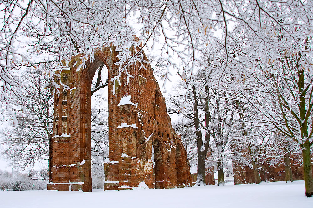 Winter in der Klosterruine 3