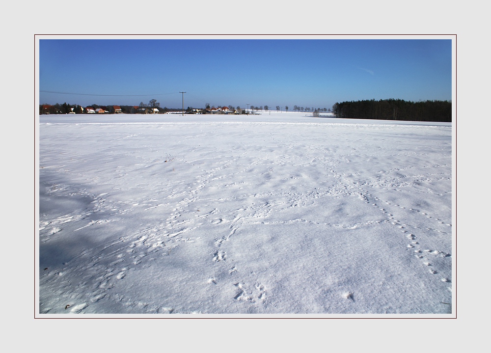 Winter in der Lausitz