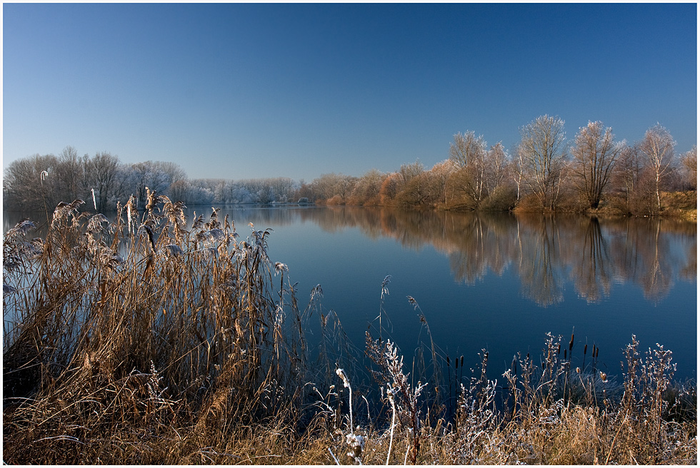 Winter in der Leinemasch