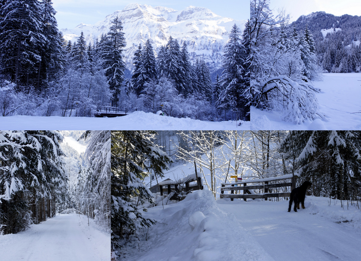 Winter in der Lenk denk