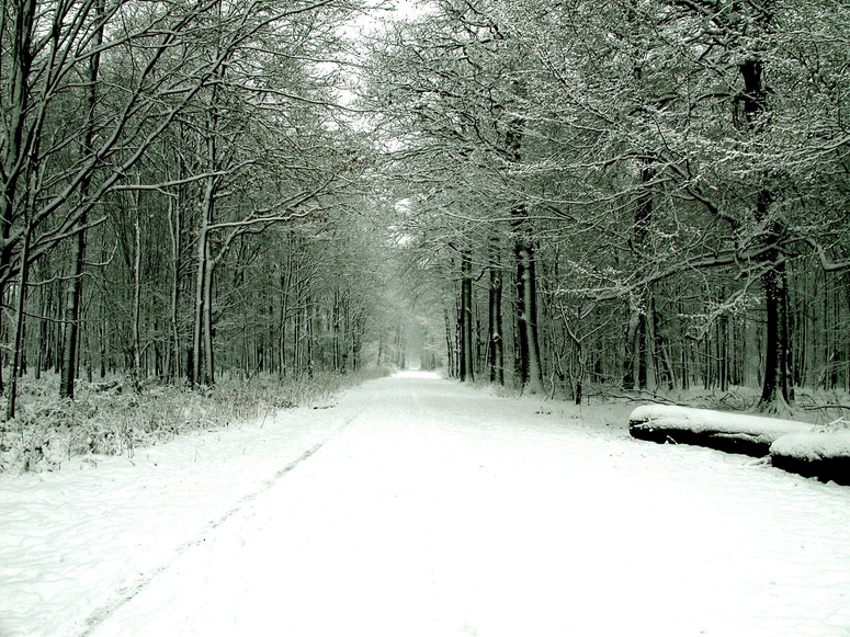 Winter in der Littard bei Rheurdt