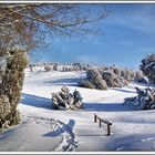 Winter in der Lüneburger Heide