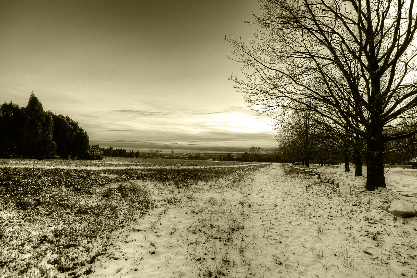 Winter in der Lüneburger Heide 2