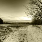 Winter in der Lüneburger Heide 2