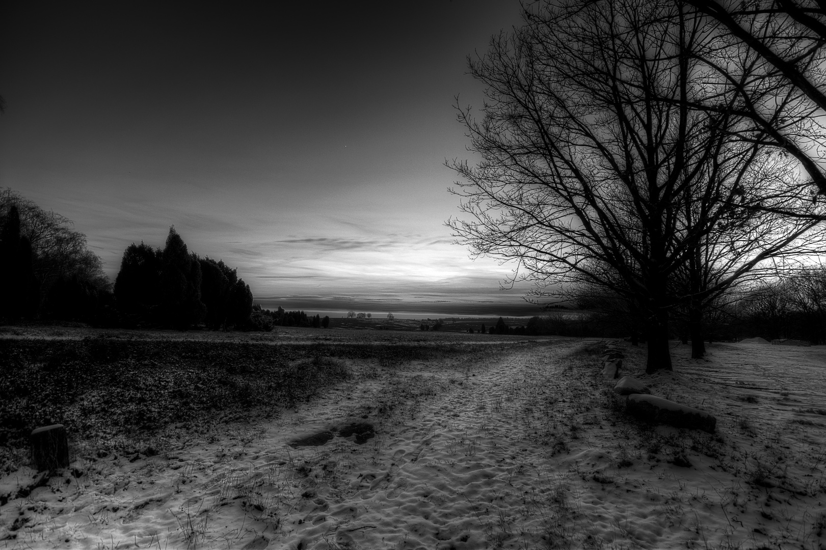 Winter in der Lüneburger Heide